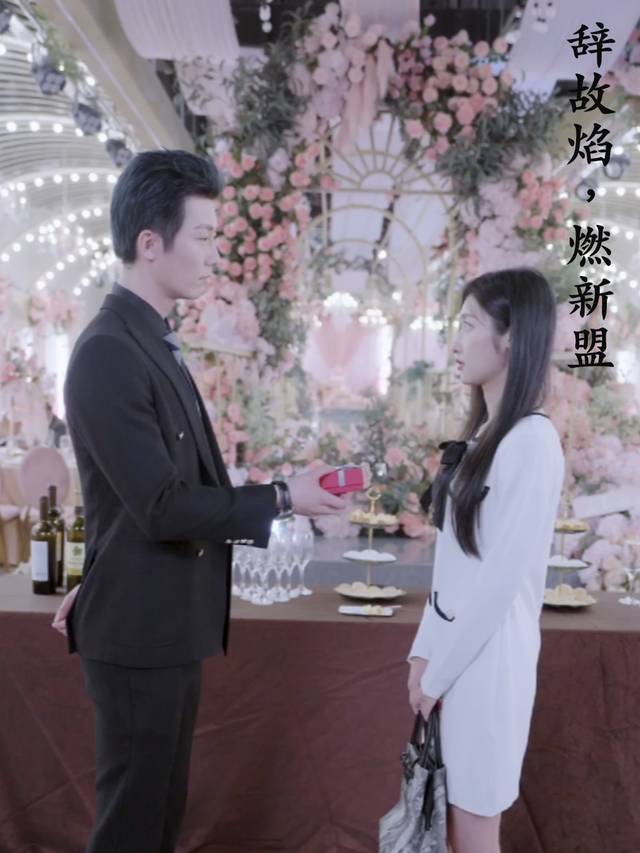 辞故焰,燃新盟封面