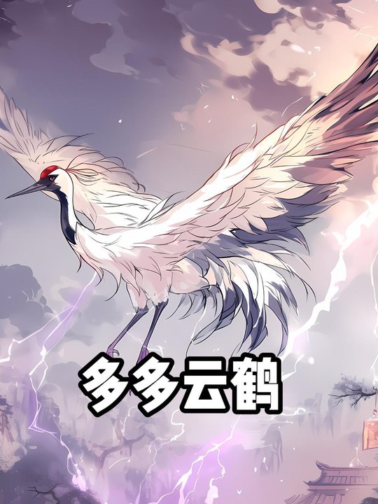 多多云鹤封面