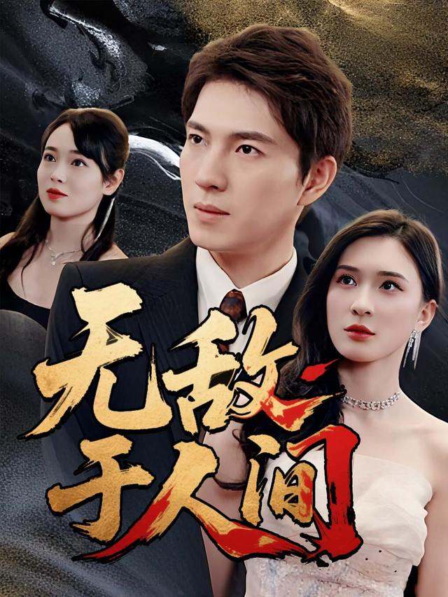 无敌于人间封面