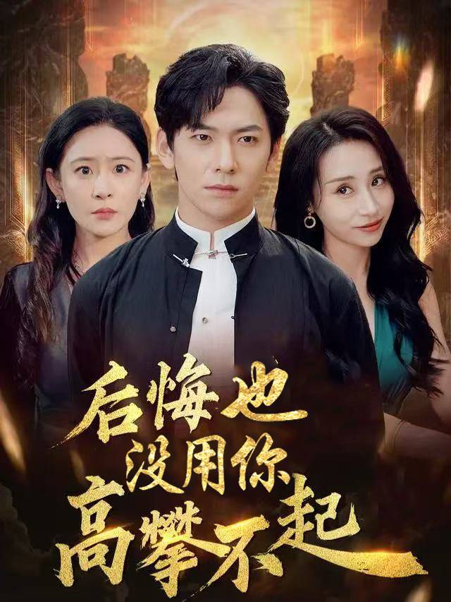后悔也没用你高攀不起封面