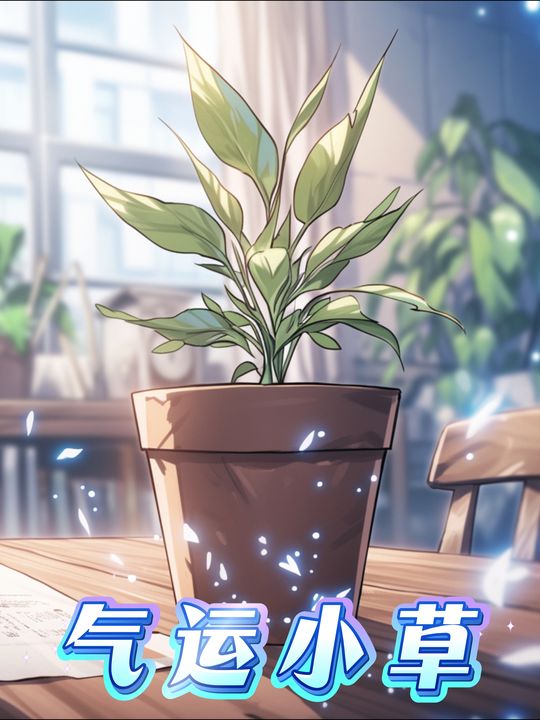 气运小草封面