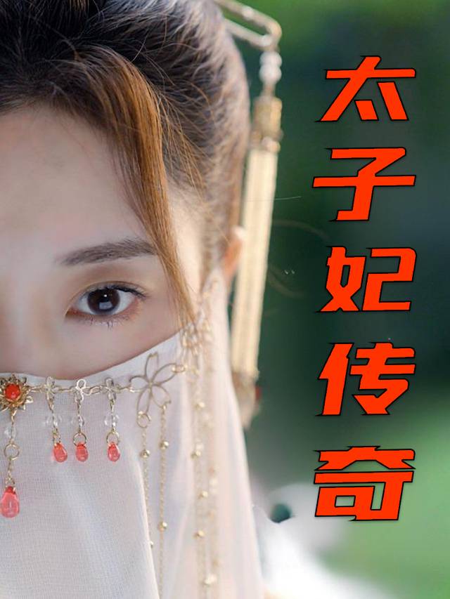 太子妃传奇封面