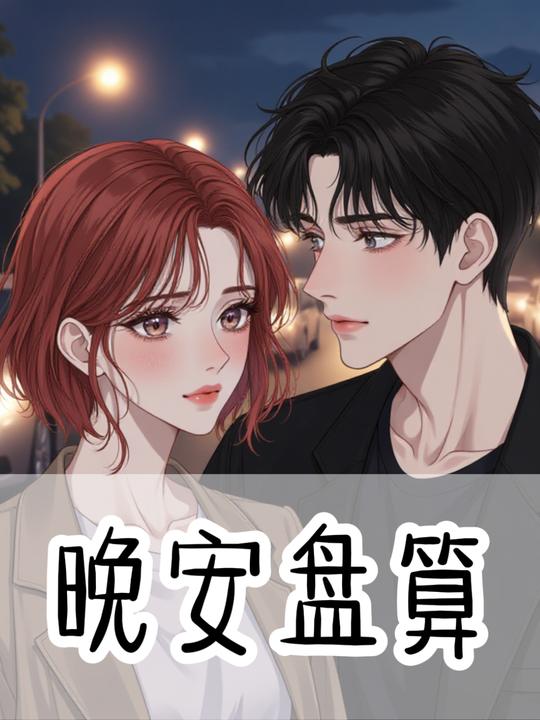 晚安盘算封面