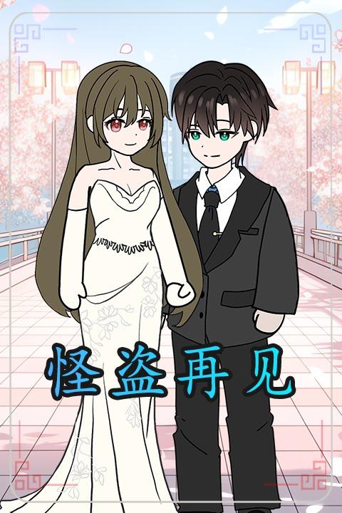 怪盗再见封面