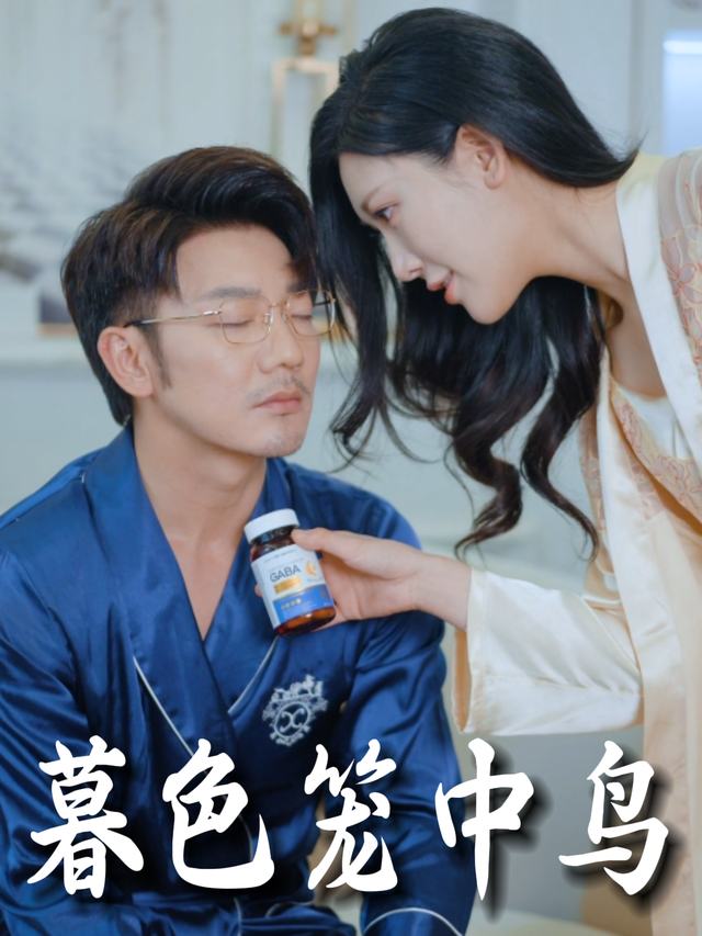 暮色笼中鸟封面