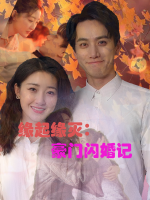缘起缘灭:豪门闪婚记封面
