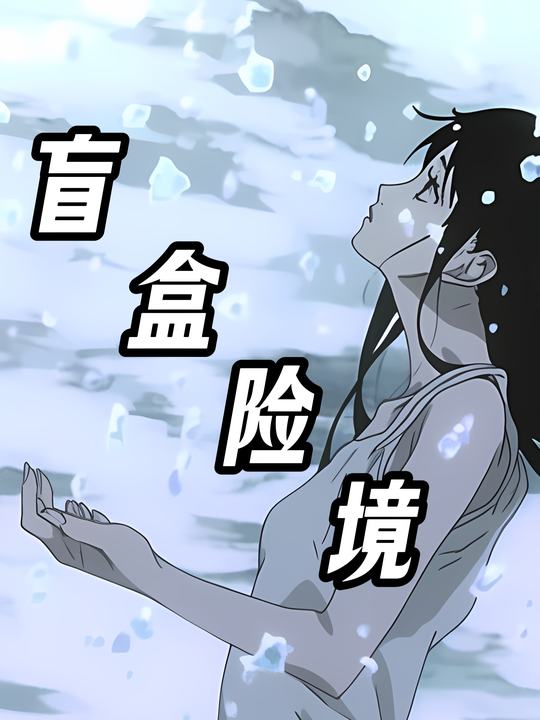 盲盒险境封面