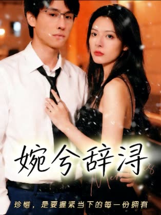 婉兮辞浔封面
