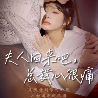 夫人回来吧,总裁心很痛封面