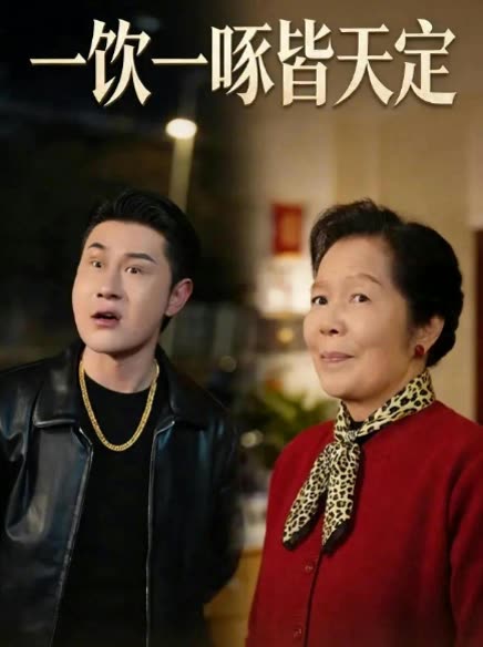 一饮一啄皆天定封面