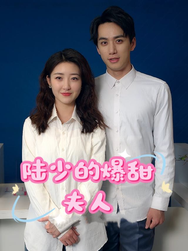陆少的爆甜夫人封面