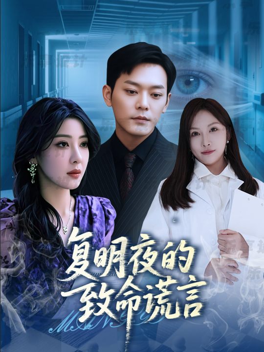 复明夜的致命谎言封面