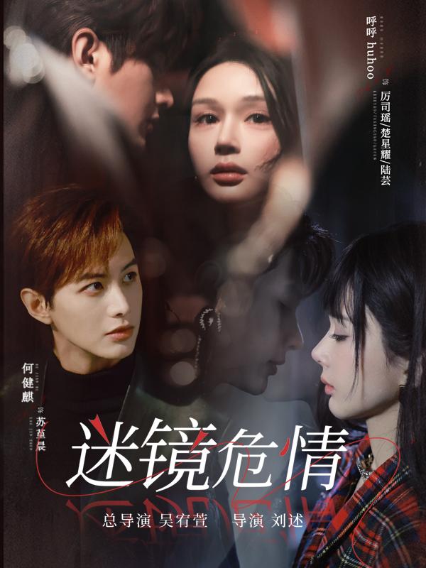 迷镜危情封面