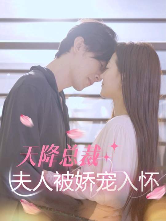 天降总裁,夫人被娇宠入怀封面