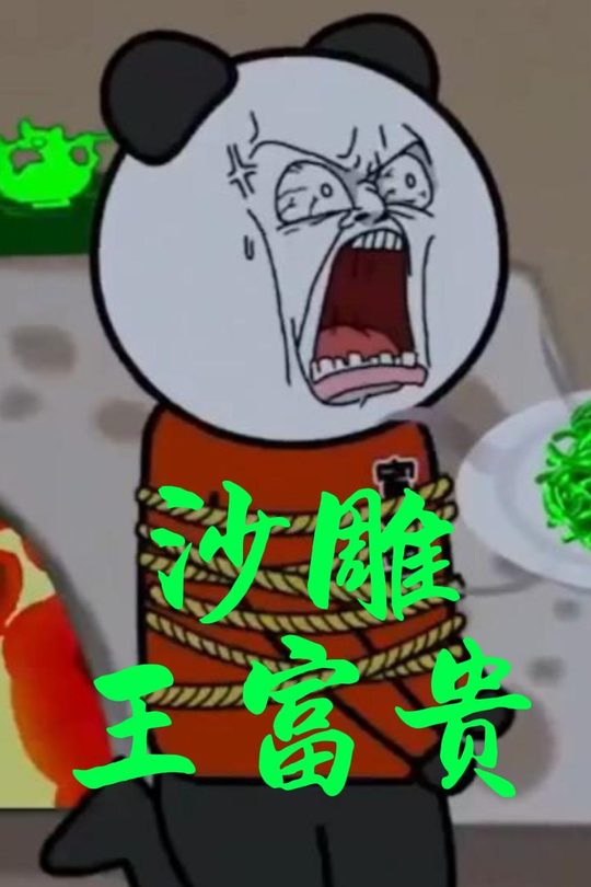 沙雕王富贵封面