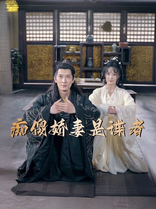 痴傻娇妻是谍者封面