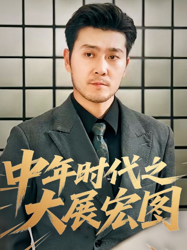 中年时代之大展宏图封面