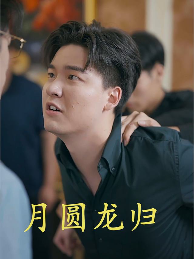 月圆龙归封面