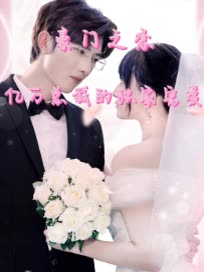 豪门之恋:总裁的独家宠爱封面