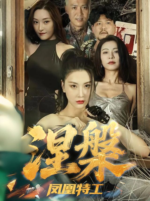 涅槃凤凰特工封面