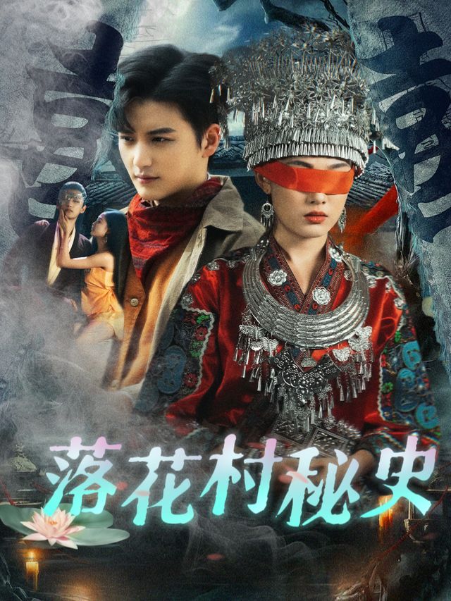 落花入梦封面