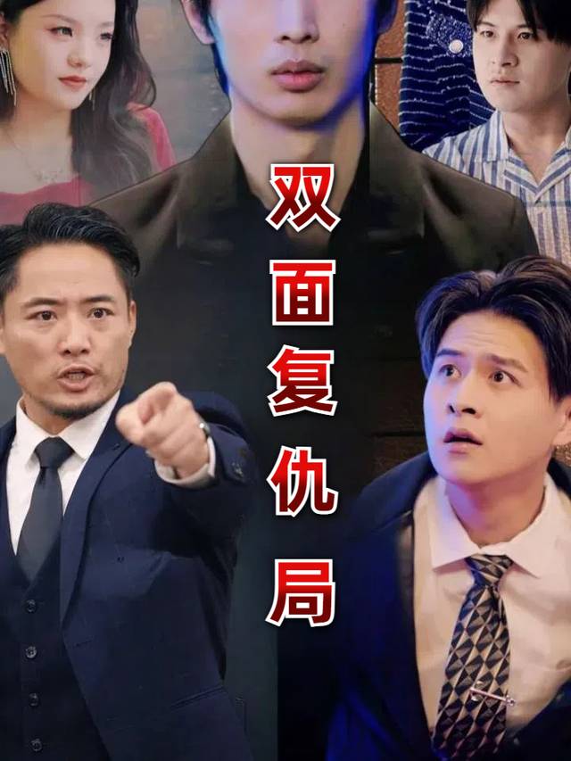 双面复仇局封面