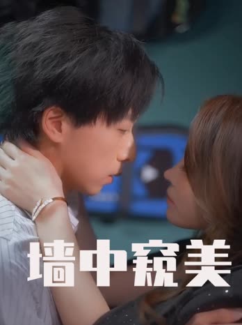 墙中窥美封面
