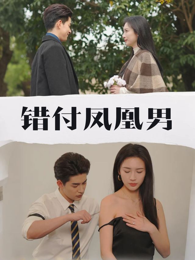 错付凤凰男封面