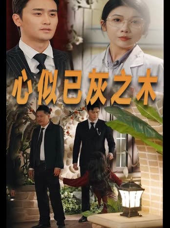 心似已灰之木封面