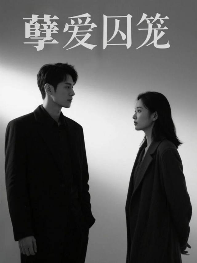 孽爱囚笼封面