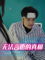 无法言语的真相封面