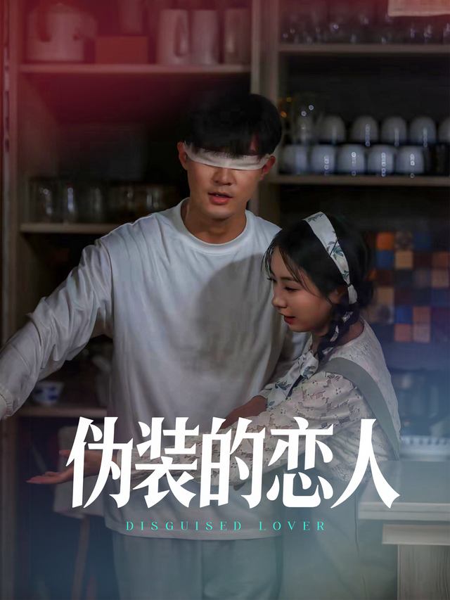 伪装的恋人封面
