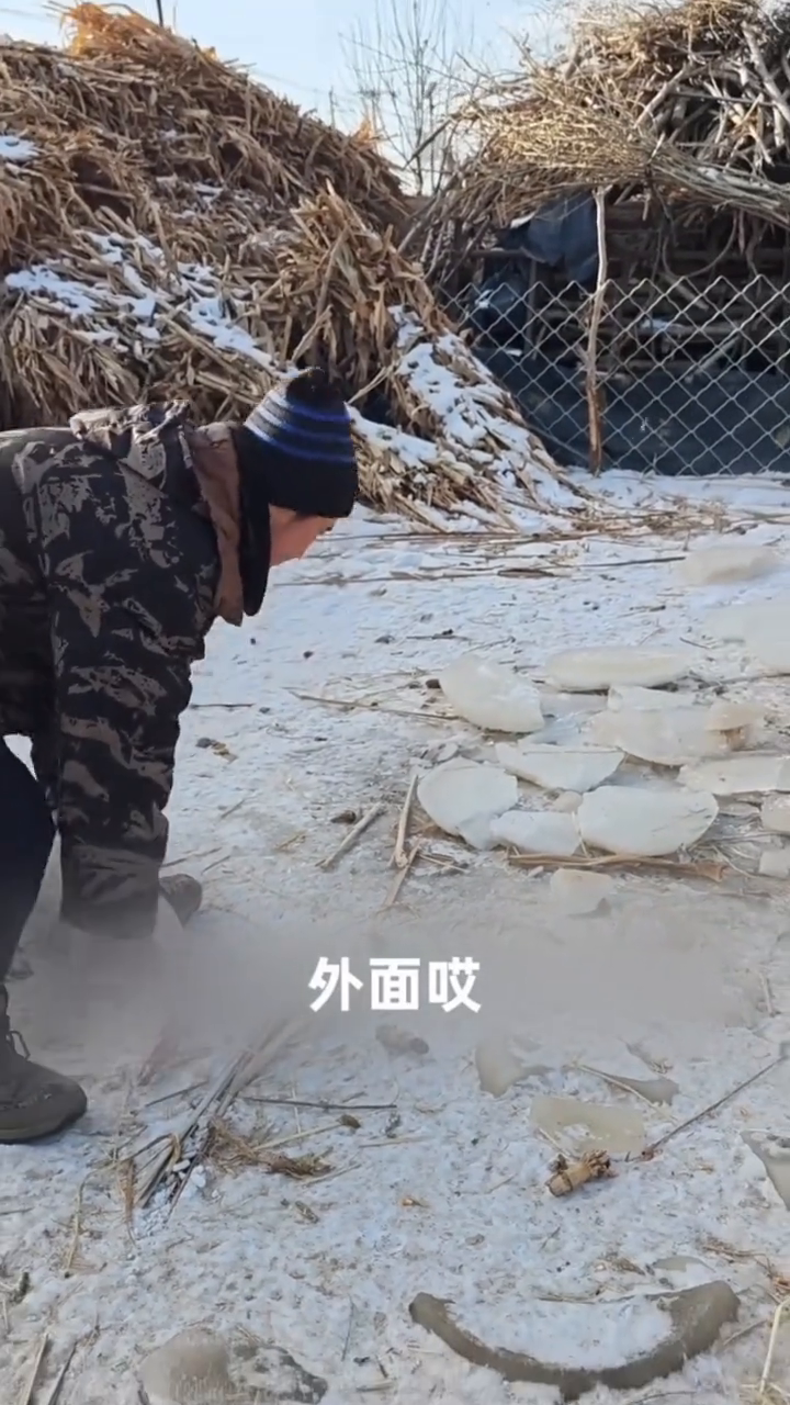 柴火垛里捡来的女人封面