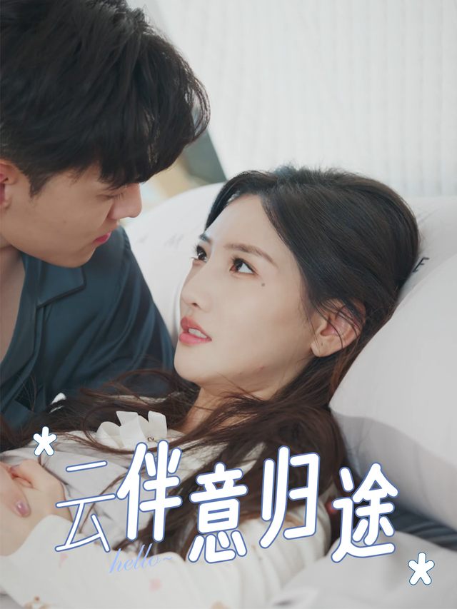 云伴意归途封面