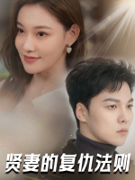 贤妻的复仇法则封面