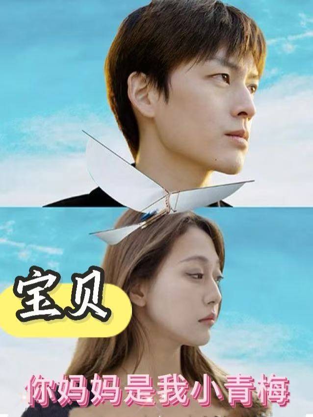 宝贝,你妈妈是我小青梅封面