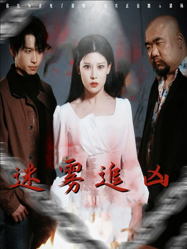 迷雾追凶封面