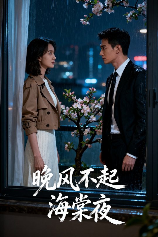 晚风不起海棠夜封面