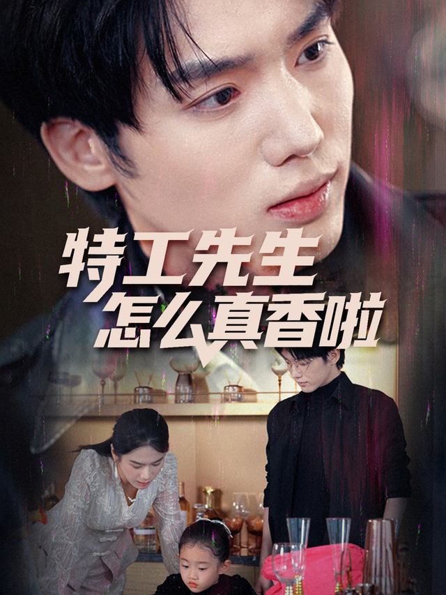 特工先生怎么真香啦封面