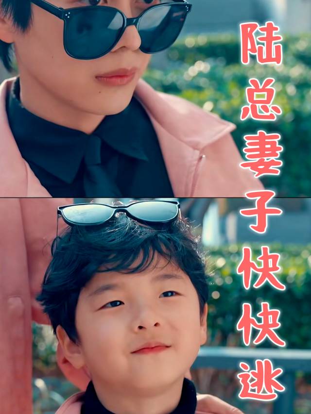 陆总妻子快快逃封面