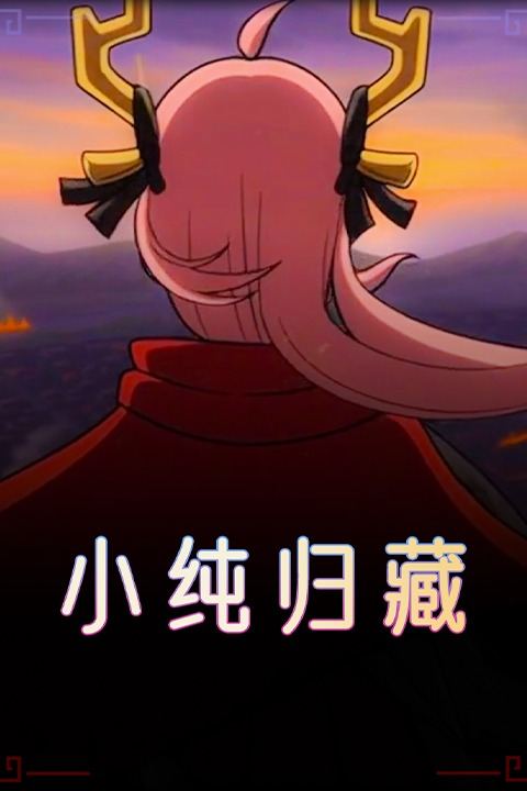 小纯归藏封面