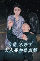 大佬不好了夫人要和你离婚封面