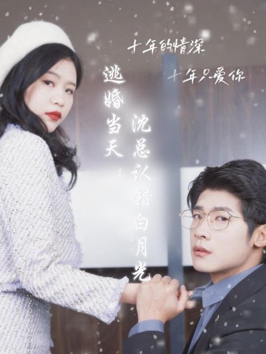 逃婚当天:沈总认错白月光封面