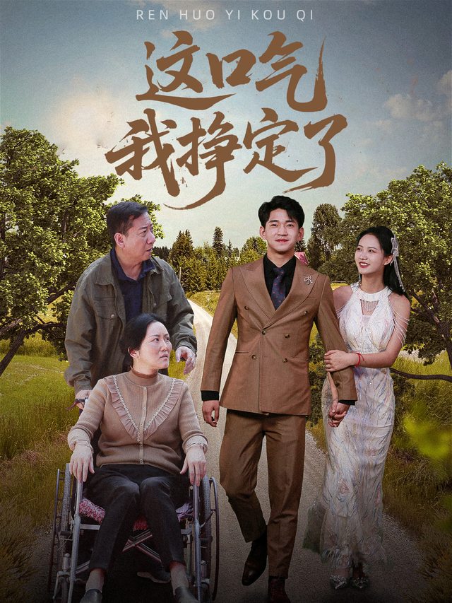 这口气我挣定了封面