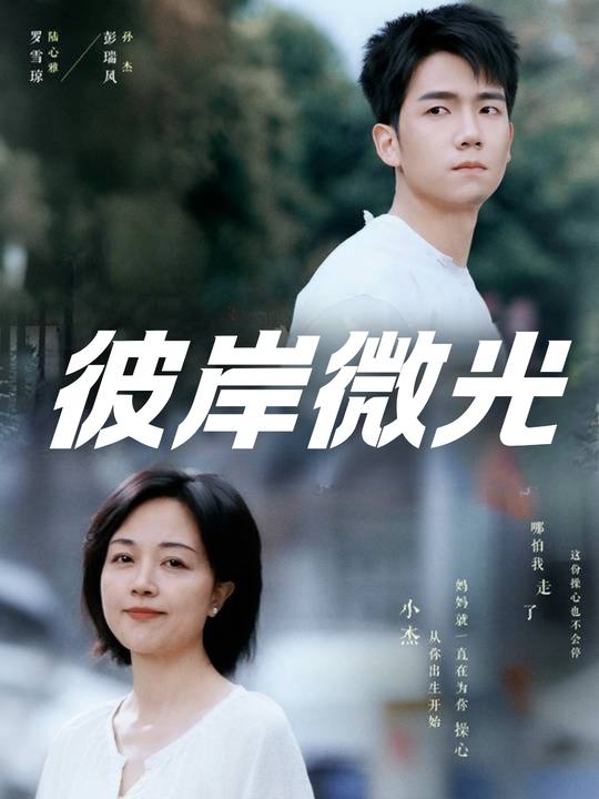 彼岸微光封面