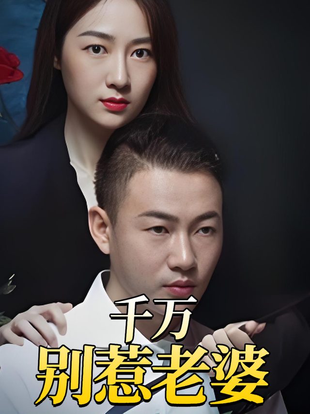 千万别惹老婆封面