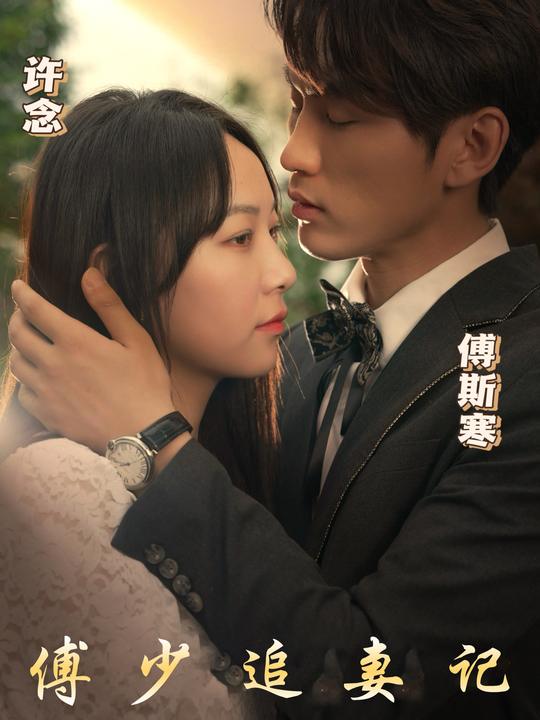 傅少追妻记封面