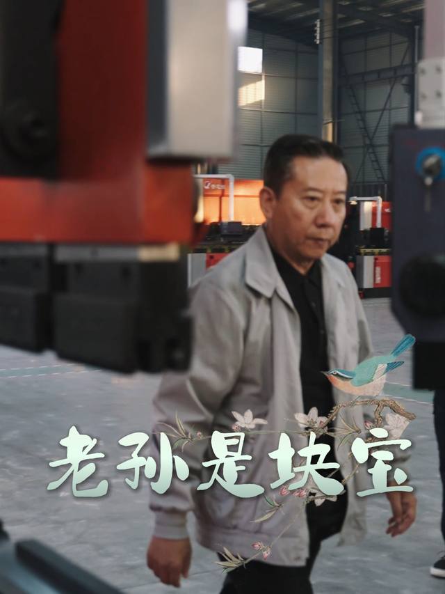 老孙是块宝封面