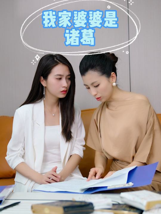 我家婆婆是诸葛封面