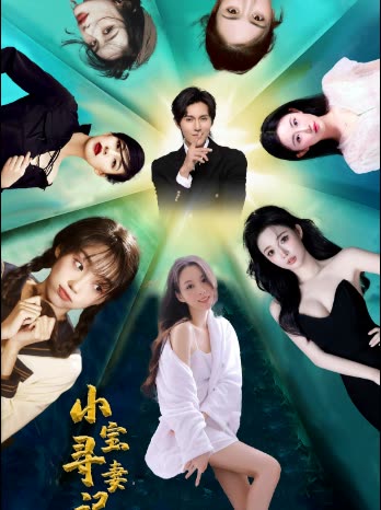 小宝寻妻记封面